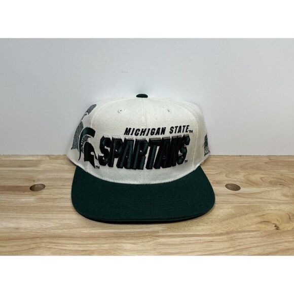 RARE Sports Specialties Michigan State Spartans Shadow Snapback Hat College